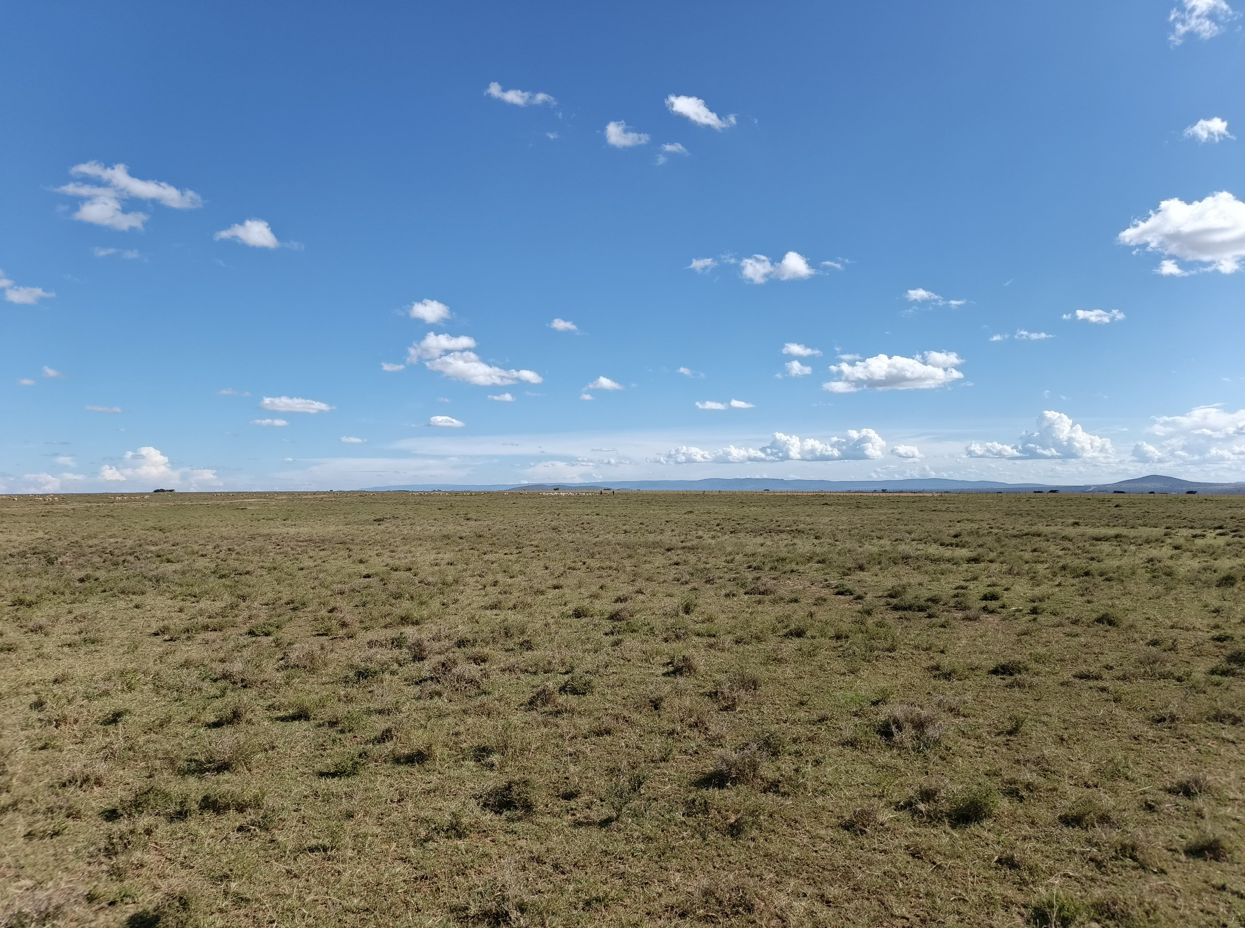 Narok Airstrip land thumbnail 4